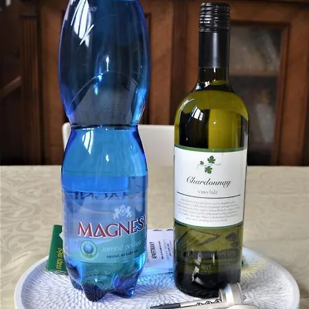 Pod Vodarenskou Vezi Lägenhet *