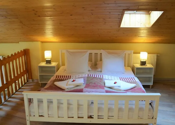 أبارتماني بود فودارينسكو فيجي * Poděbrady