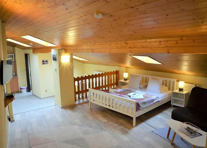 博得沃达林司阔维兹公寓 公寓 *