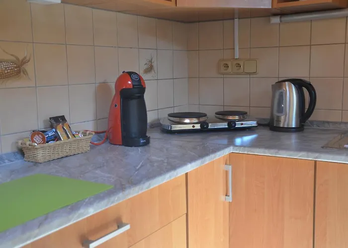 Pod Vodarenskou Vezi Apartament Podiebrady