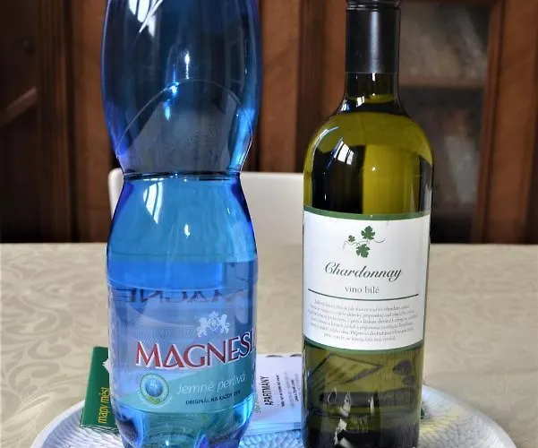 博得沃达林司阔维兹公寓 公寓 *