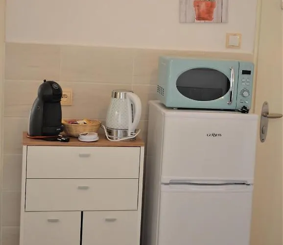 أبارتماني بود فودارينسكو فيجي Poděbrady