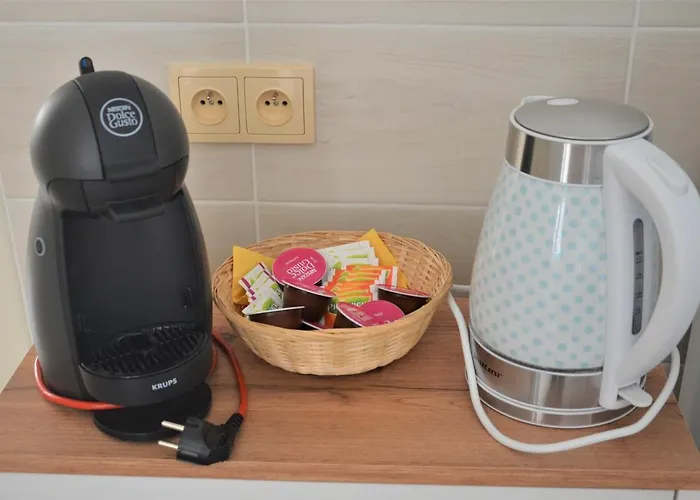 أبارتماني بود فودارينسكو فيجي Poděbrady